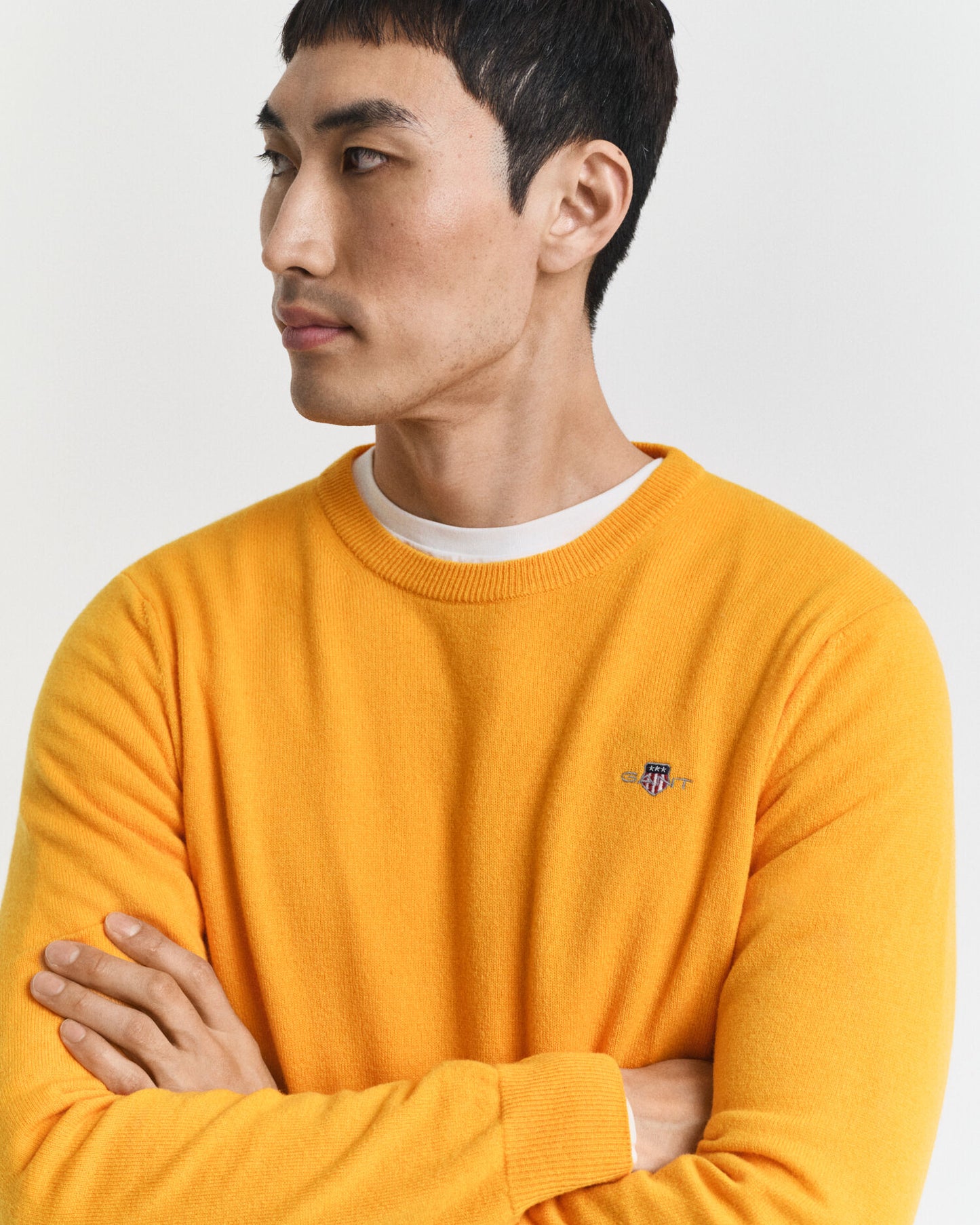Pull ras du cou en laine d'agneau superfine